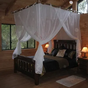 https://ravensbourne-forest-chalets.queenslandhotels.net